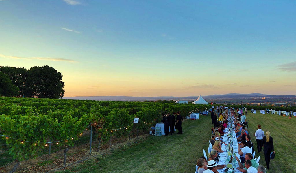 Evening Event in the Vineyards